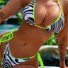 Zebra Print Halter Neck Bikini Set - Trendociti